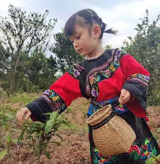 ：品牌培育做好茶茶旅融合促振兴AG电玩国际泸溪县喆友轩茶业(图3)